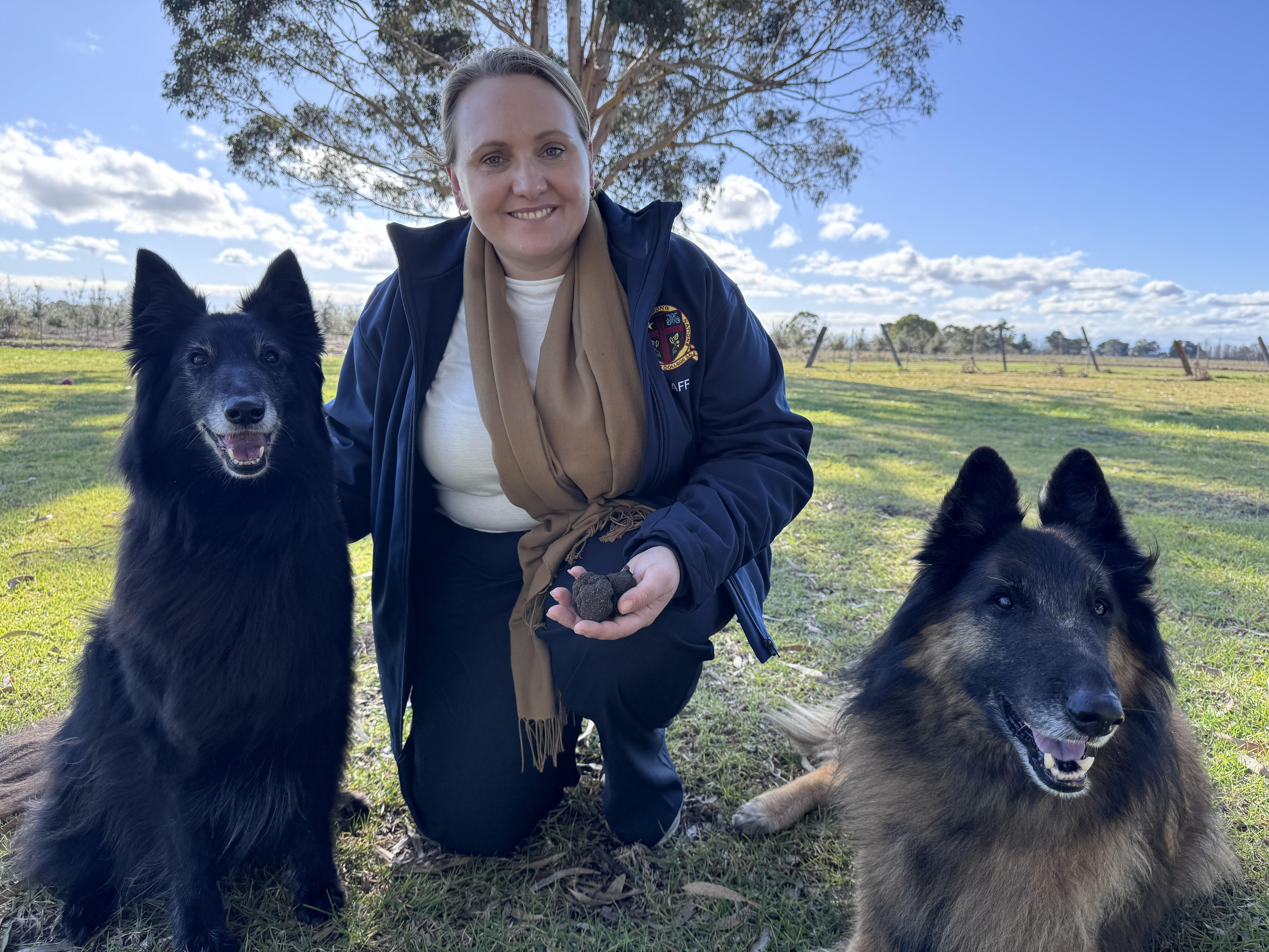 Cover Image for Searching 2 rows at a time: The 9 conditions which had to be met to allow for this search.