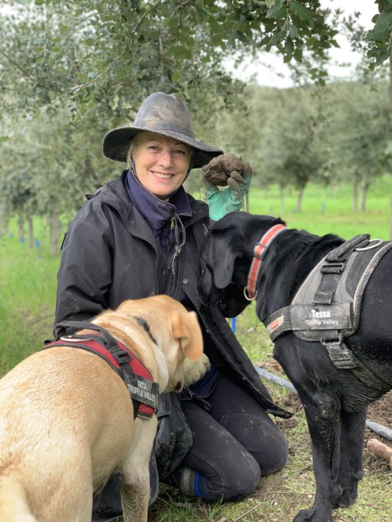 Truffle Valley: Kovu loves proving people wrong!!